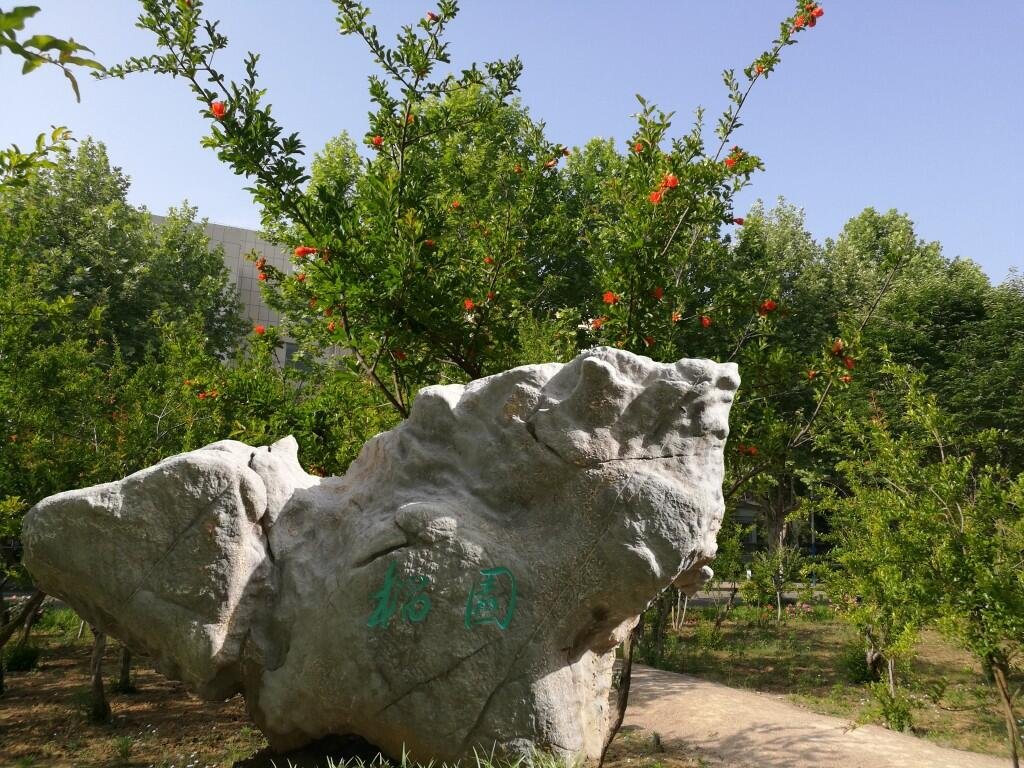 济宁学院好吗，值得考虑吗？