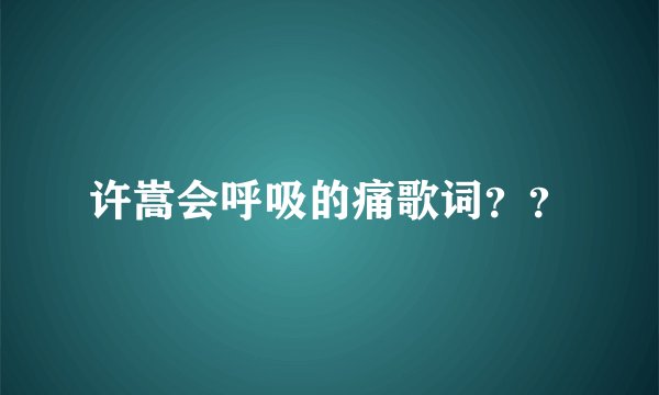 许嵩会呼吸的痛歌词？？