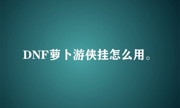 DNF萝卜游侠挂怎么用。