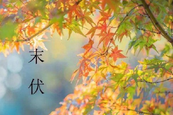 末伏过后天气还会热吗？末伏是不是一年中天气最热的时候？