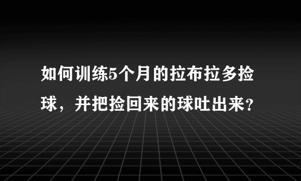 如何训练5个月的拉布拉多捡球，并把捡回来的球吐出来？