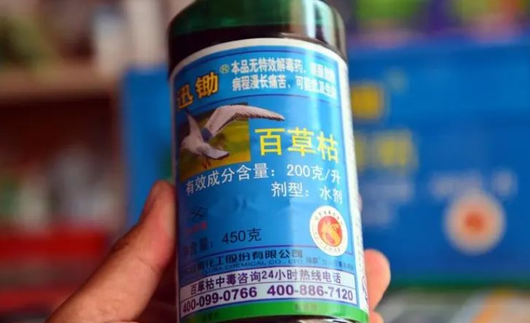 河南中毒女孩家属称嫌犯所述动机是编的，你认为凶手的作案动机是什么？