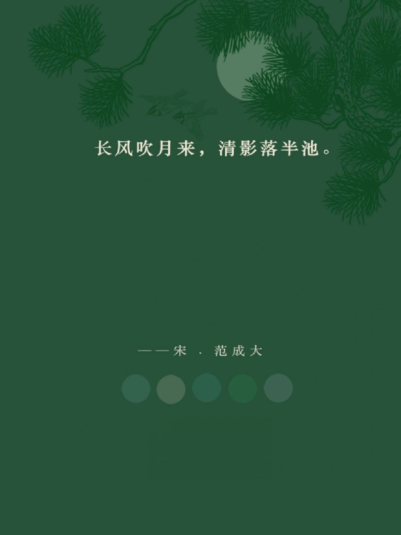 长风吹月来，清影落半池。