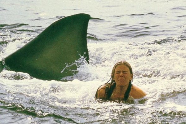 关于鲨鱼的电影有哪些