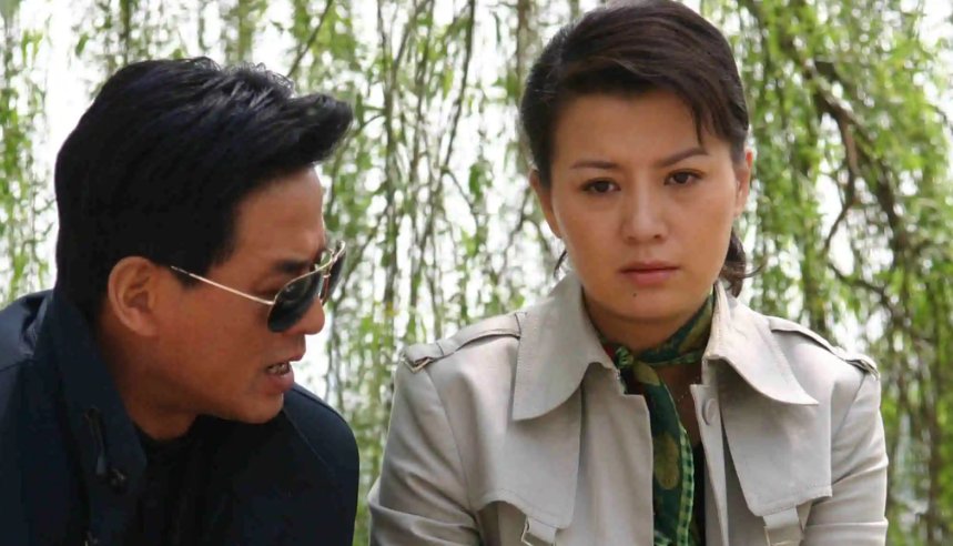 廖芳华局长是什么电视剧