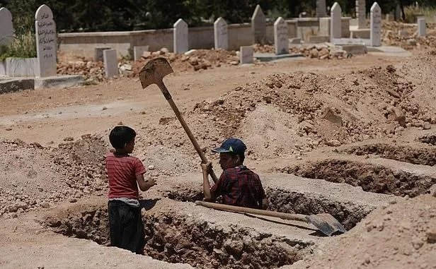 掘墓是什么意思