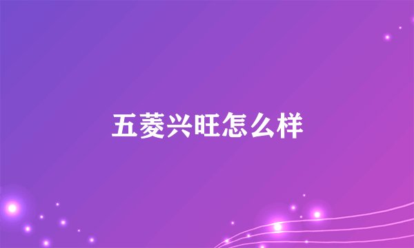 五菱兴旺怎么样