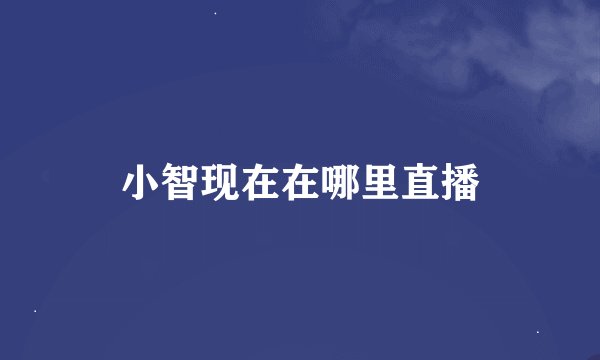 小智现在在哪里直播