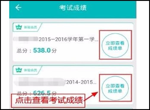 如何在手机上查看小学生的成绩？
