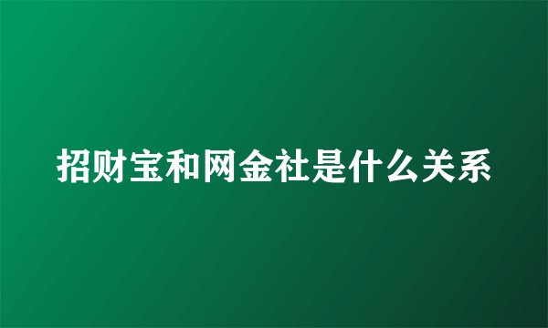招财宝和网金社是什么关系