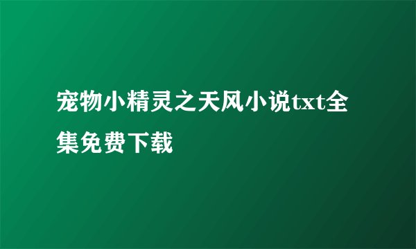 宠物小精灵之天风小说txt全集免费下载
