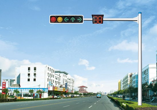 交通信号灯包括