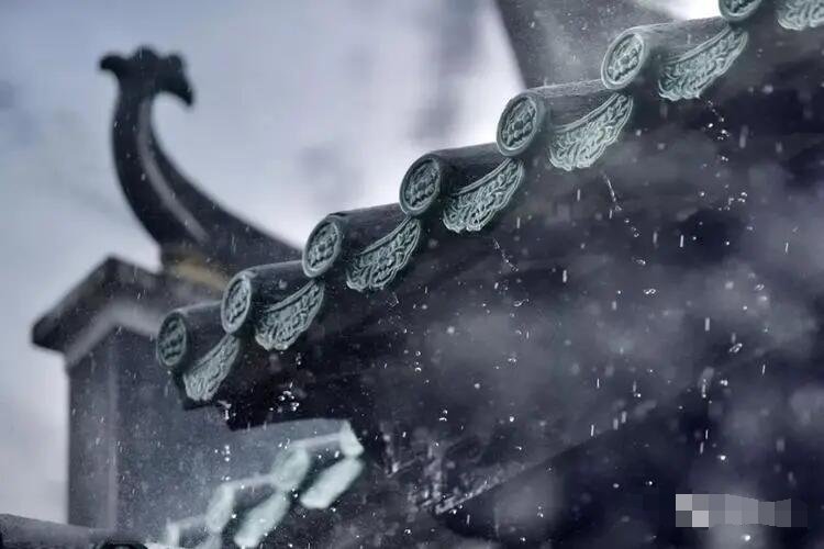 瓦菲的意思是什么