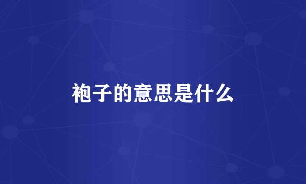 袍子的意思是什么