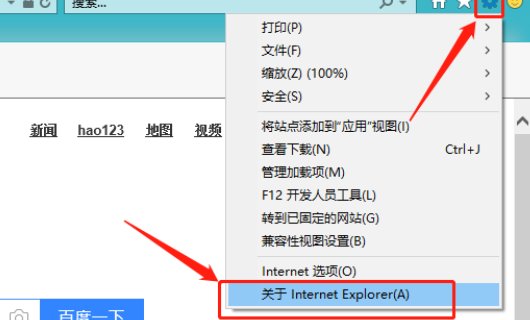 InternetExplorer中文是什么意思?
