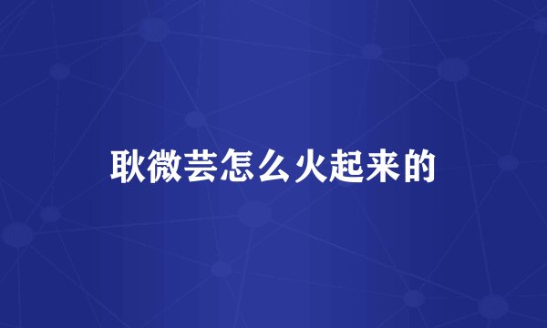 耿微芸怎么火起来的