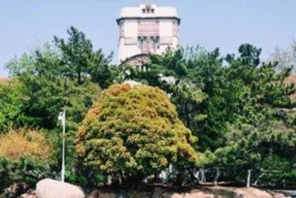 青岛海洋大学多少分录取