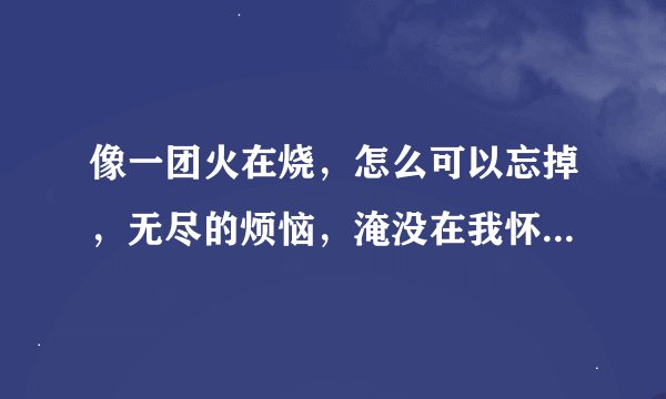 像一团火在烧，怎么可以忘掉，无尽的烦恼，淹没在我怀抱是什么歌 歌曲