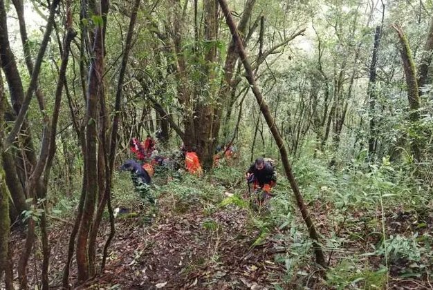 哀牢山4名遇难地质人员身份披露，均当过兵，他们为何会在这座山里遇难？