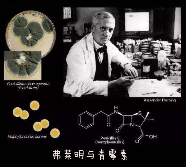 如何从蒙古国的“死亡土拨鼠刺身”看自然之母的残暴？