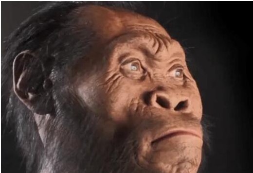 五千年前人类的样子