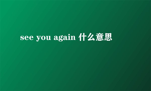 see you again 什么意思