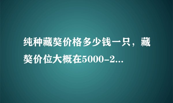 纯种藏獒价格多少钱一只，藏獒价位大概在5000-20000元