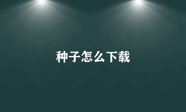 种子怎么下载