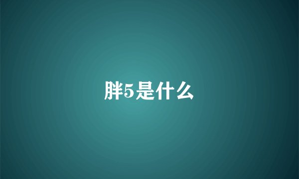 胖5是什么