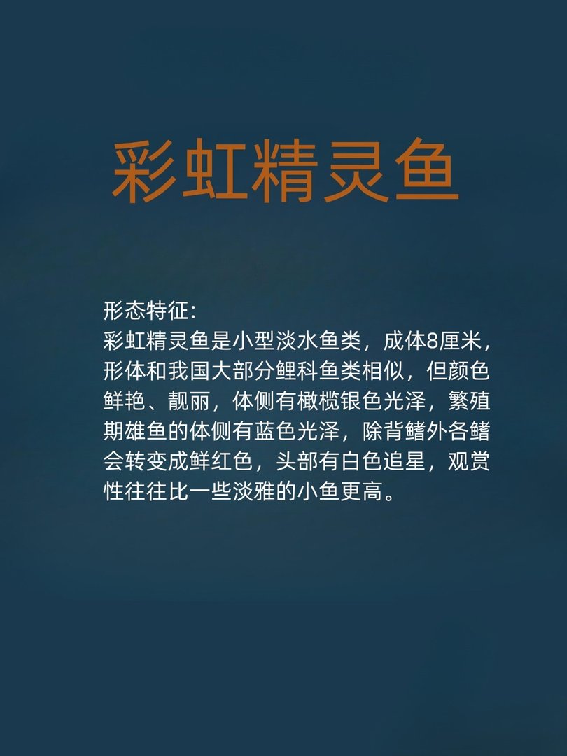 彩虹精灵鱼怎么养呢？
