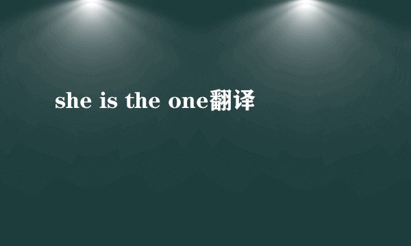 she is the one翻译