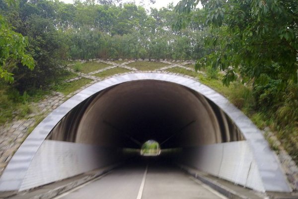 日本当年发生的“犬鸣村灵异事件”,究竟是怎么一回事?