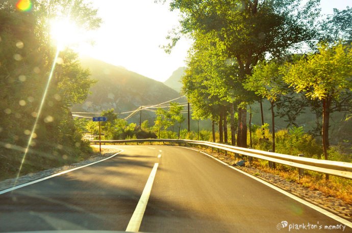 风情大道的介绍