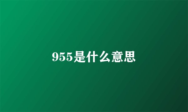 955是什么意思