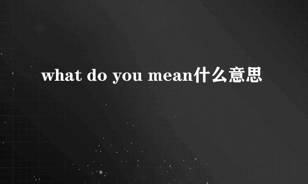 what do you mean什么意思