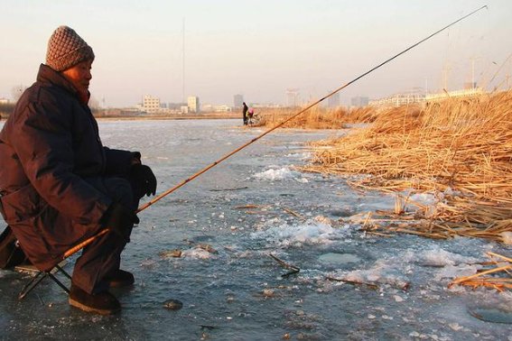 冬钓鲤鱼用什么当饵料最好