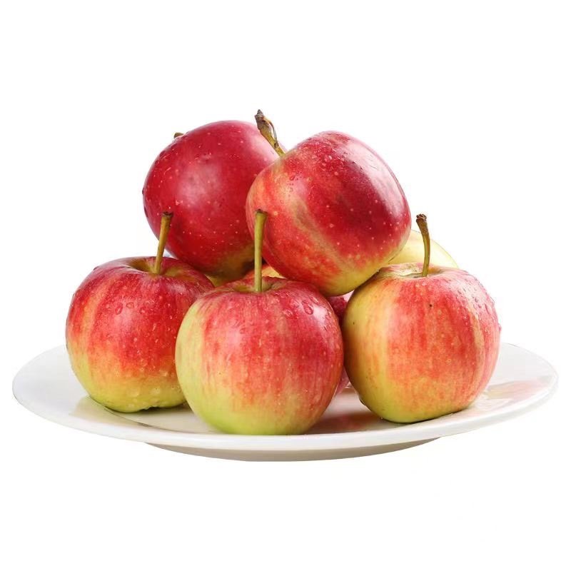 bo peep是什么意思