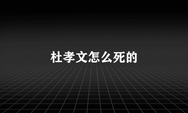杜孝文怎么死的