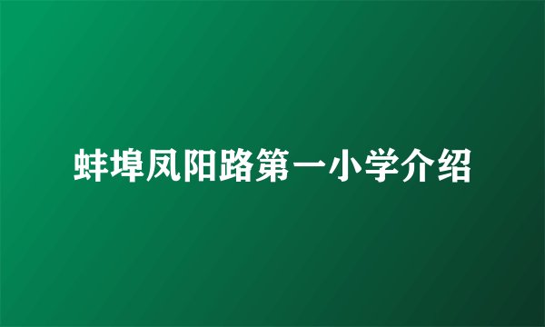 蚌埠凤阳路第一小学介绍