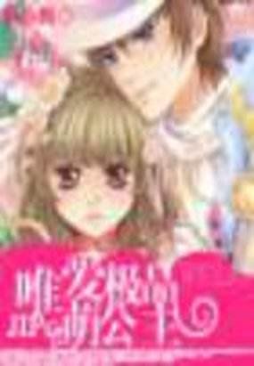 唯爱极品萌公主的介绍