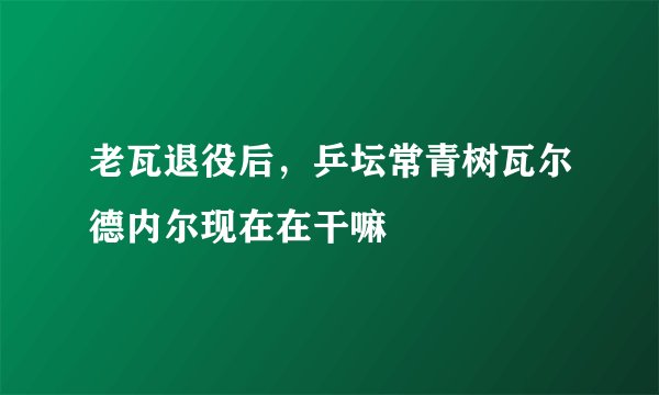 老瓦退役后，乒坛常青树瓦尔德内尔现在在干嘛