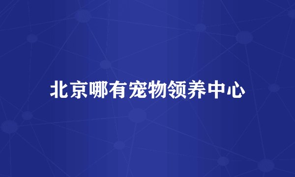 北京哪有宠物领养中心