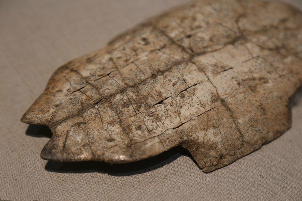 中国最早的文字起源于哪？