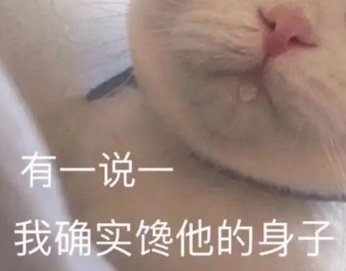 有一说一是什么意思？