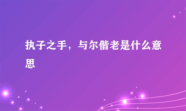 执子之手，与尔偕老是什么意思