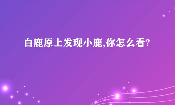 白鹿原上发现小鹿,你怎么看?