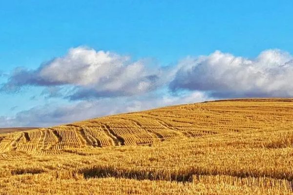 秋意指的是什么