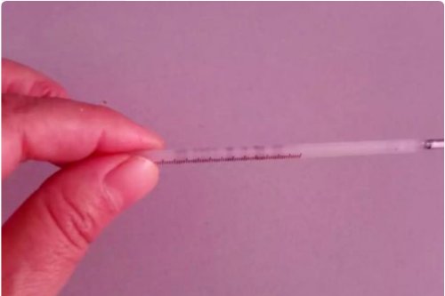 温度计怎么看水银线图片 看不懂