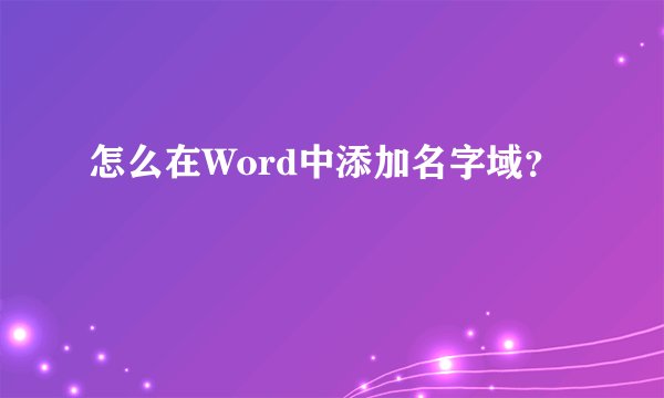 怎么在Word中添加名字域？