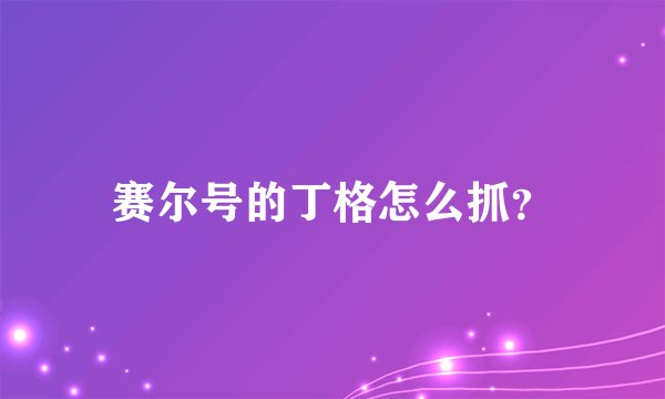 赛尔号的丁格怎么抓？